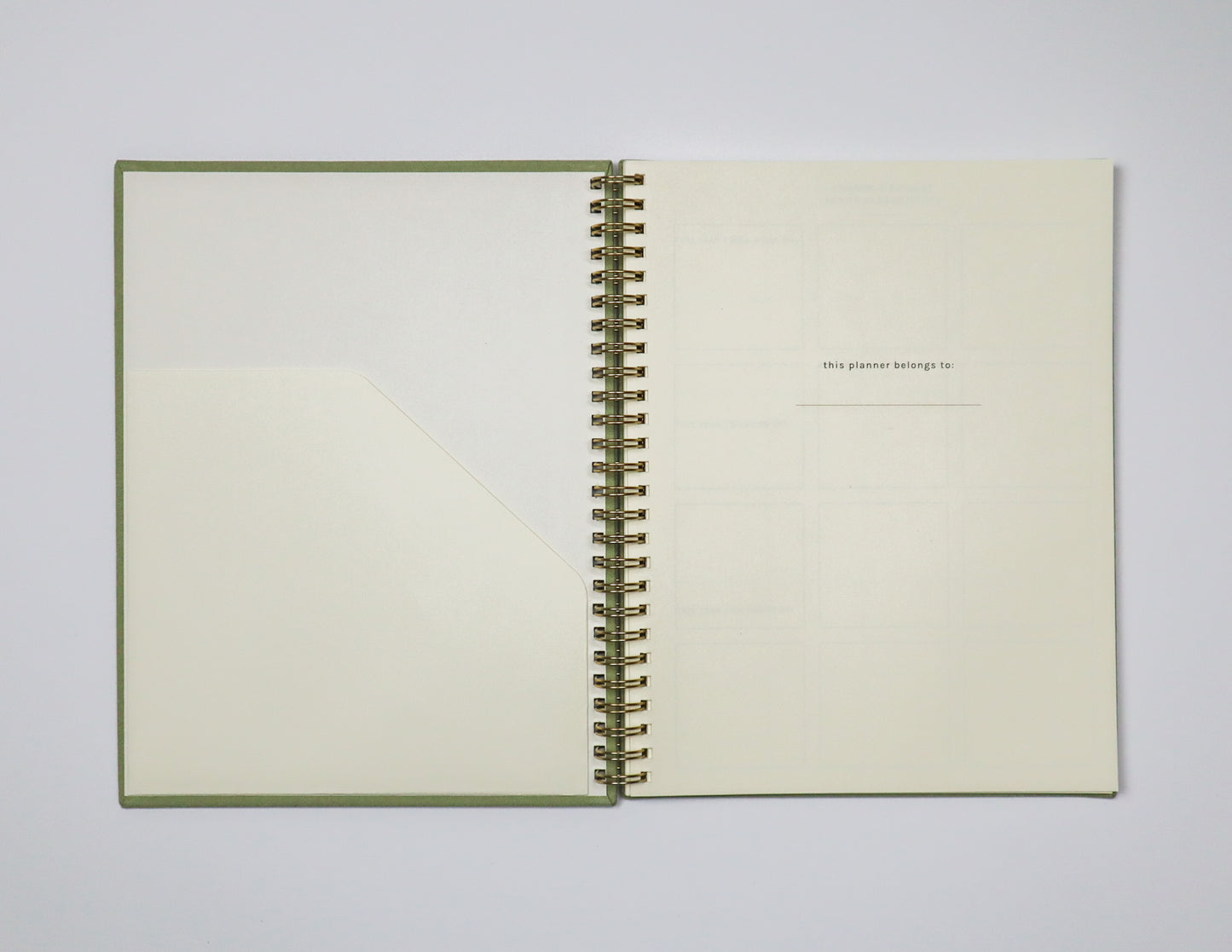 Undated Monthly Planner in Sage